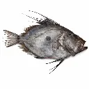 ChatGPT Image Mar 16, 2026, 04_11_29 PM.webp