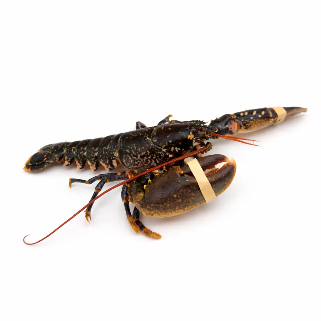 ChatGPT Image Mar 24, 2026, 03_08_34 PM.webp