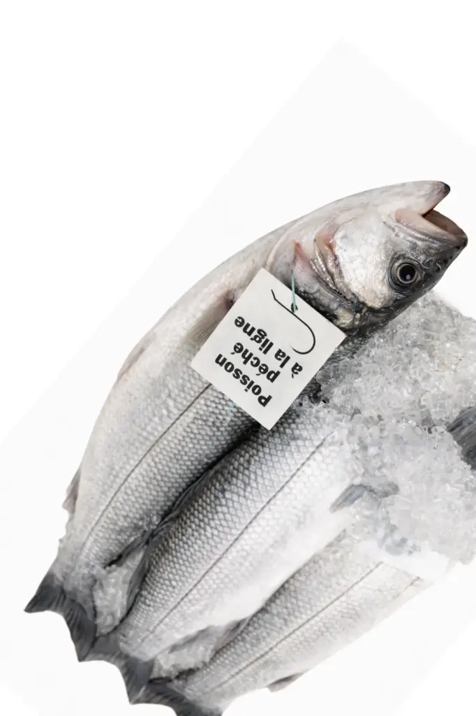 Bar de ligne Breton 1-2 kg