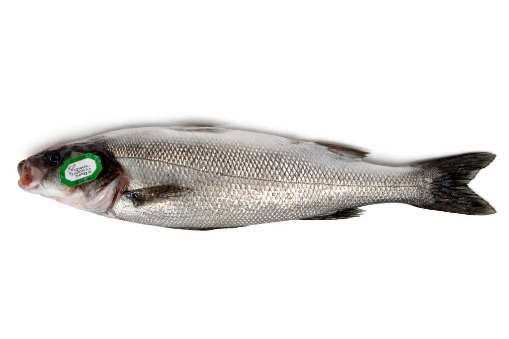 Bar de Ligne 1 / 1,5 kg