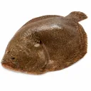 Barbue Sauvage 1/2kg