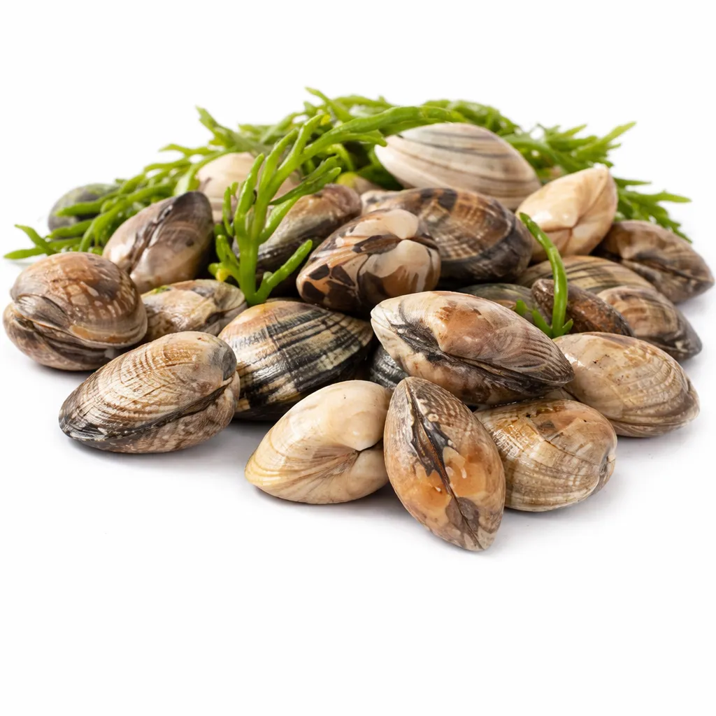 [CO-0027-WEB] Palourdes Moyennes – 1 kg