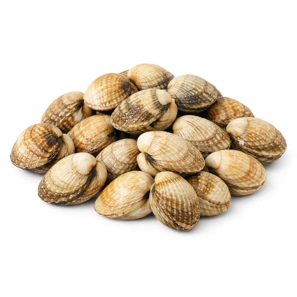 [CO-0031-WEB] Coques Grosses – 1 kg