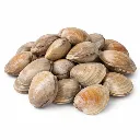 Clams Petits – 1 kg