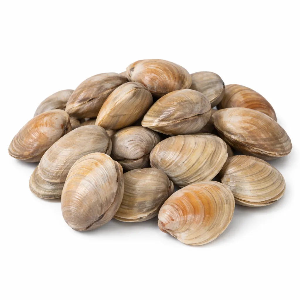 [CO-0033-WEB] Clams Moyens – 1 kg