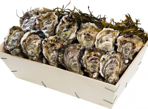 [D0001] Bourriche Huitres Creuse Bretonnes n°3