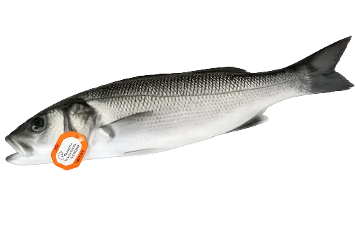 [D0004] Bar de ligne Breton 1-2 kg