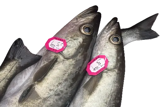 [D0005] Lieu Jaune de Ligne Breton